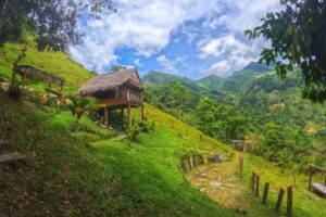 San Benito caba&ntilde;as