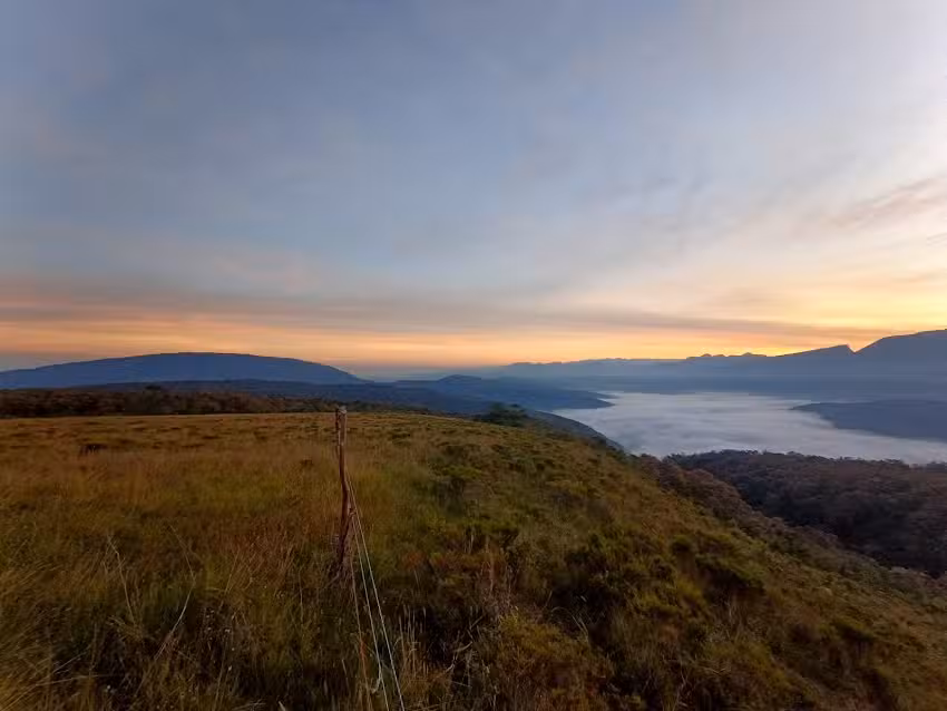 San vicente Caba&ntilde;a