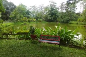 Santa Mar&iacute;a de la Laguna