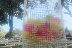 SANTUARIO DE LOS MICOS