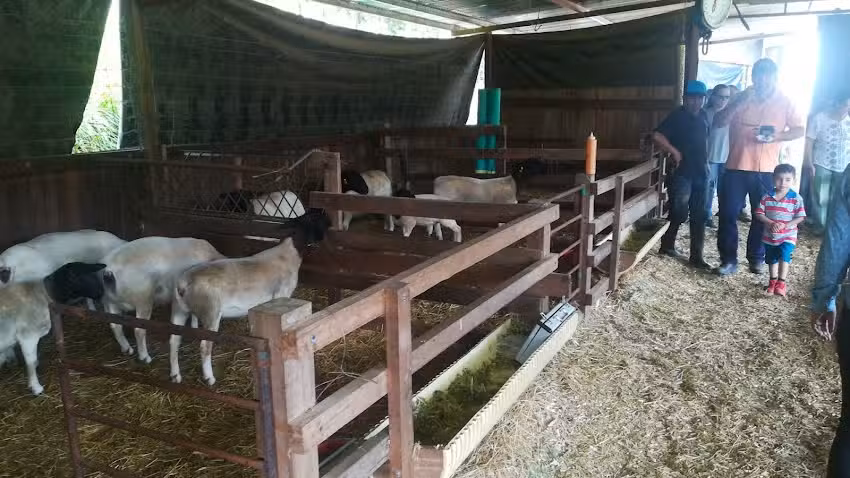 SANTUARIO OVINO-CAPRINO LA CASTELLANA