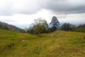 Sasaima Alb&aacute;n