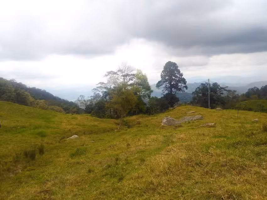 Sasaima Alb&aacute;n