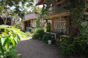 Selva Hotel &ndash; Termales, Nuqui, Choco