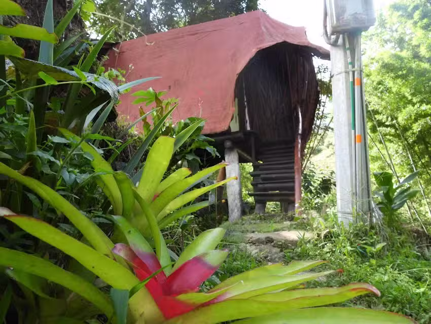 Sendero Bambuquero &ndash; Turismo rural y cultural &ndash; La Plata &ndash; Huila