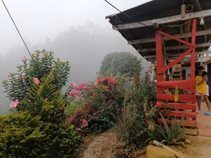 Sendero Ecol&oacute;gico Las Heliconias