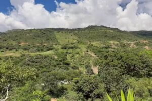 Senderos de pe&ntilde;a rica