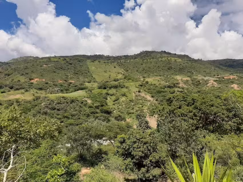 Senderos de pe&ntilde;a rica