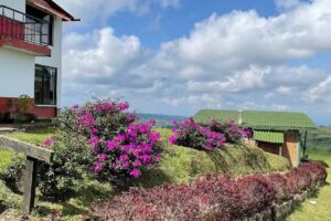 Sierra Morena Eco Hotel