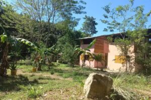 SierrAluna Tiny House, Palomino