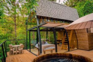 Silvery Refugio Natural