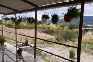 Suites Maria Delgado