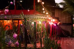 Surf House Estilo Libre