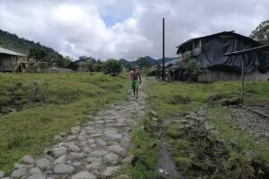 Tadocitico río río choco