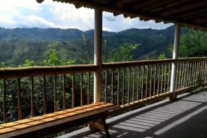 Tangara posada Campesina