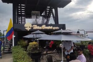 Terra Bonsai Caf&eacute; Bar