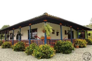 Territorio Familiar Gato Azul