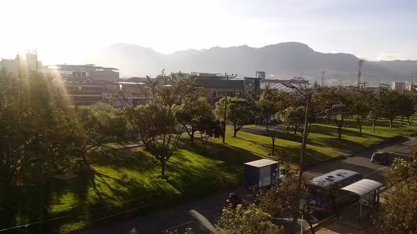 The backpakcer cat ( hostal )