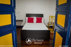 The canarys hostal