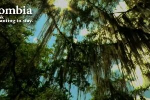 The Houzzz Dream Accommodations