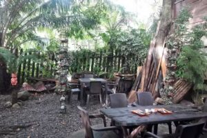 The Jungle Guest House