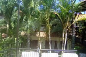 The Loft Bucaramanga