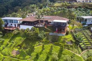 The Nest Villa Envigado Colombia