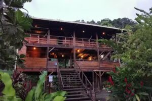 The Pelican House Hostel