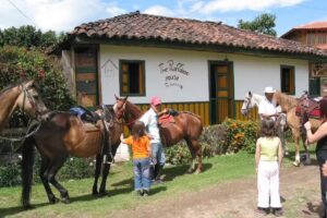 the plantation house travellers hostel