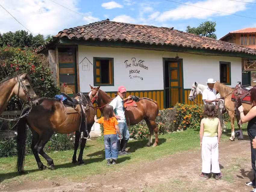 the plantation house travellers hostel