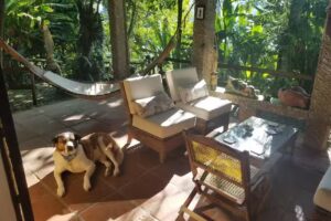 The Secret Buddha Hostel