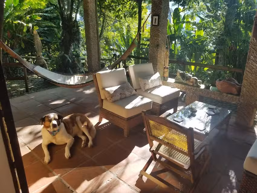 The Secret Buddha Hostel