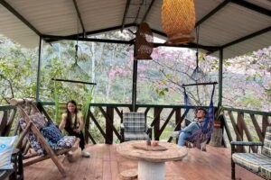 Tierra M&iacute;a Cafe y Apicultura