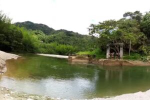 Tintico Frío Canopy