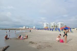 Torices sector paseo de bolivar