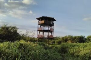 Torre de observaci&oacute;n No. 2