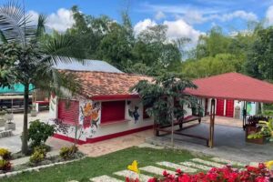 Tour de Cafe Corazón de León