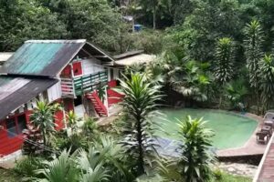Treegana Hostal