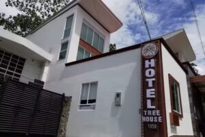 Treehouse 1959 Hotel