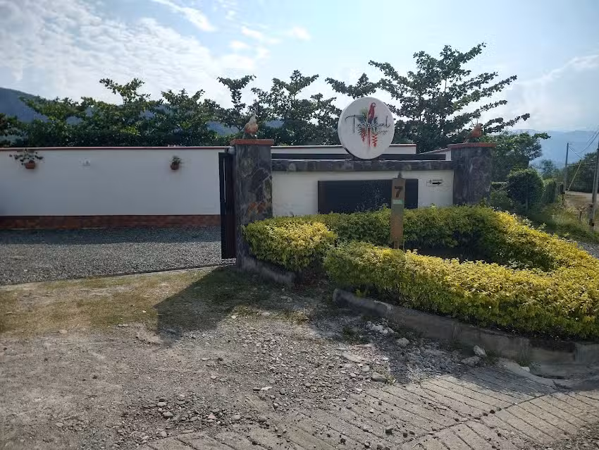 Tropical collage sas