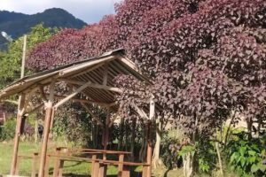 Truchera Los &Aacute;ngeles