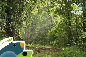 Turismo en Santa Mar&iacute;a