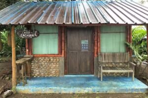 Turqui Hotel, Centro de Buceo, protecci&oacute;n ambiental y animal