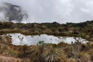 Un amanecer en Murillo