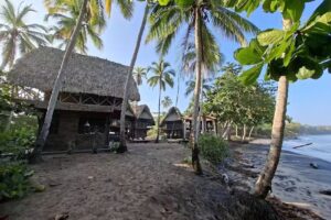 UNU BEACH HOTEL PALOMINO