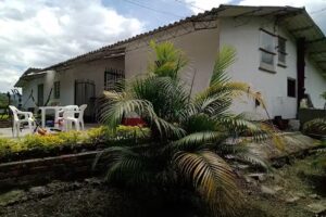 Urap&aacute;n del ri&oacute;