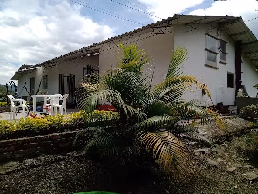 Urap&aacute;n del ri&oacute;