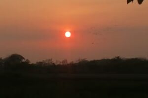 Urb. Sta Barbara Arauca