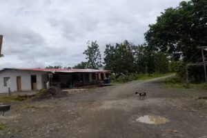 vereda andalucia- ca&ntilde;o claro