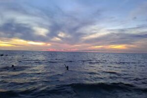 Vig&iacute;a del Mar